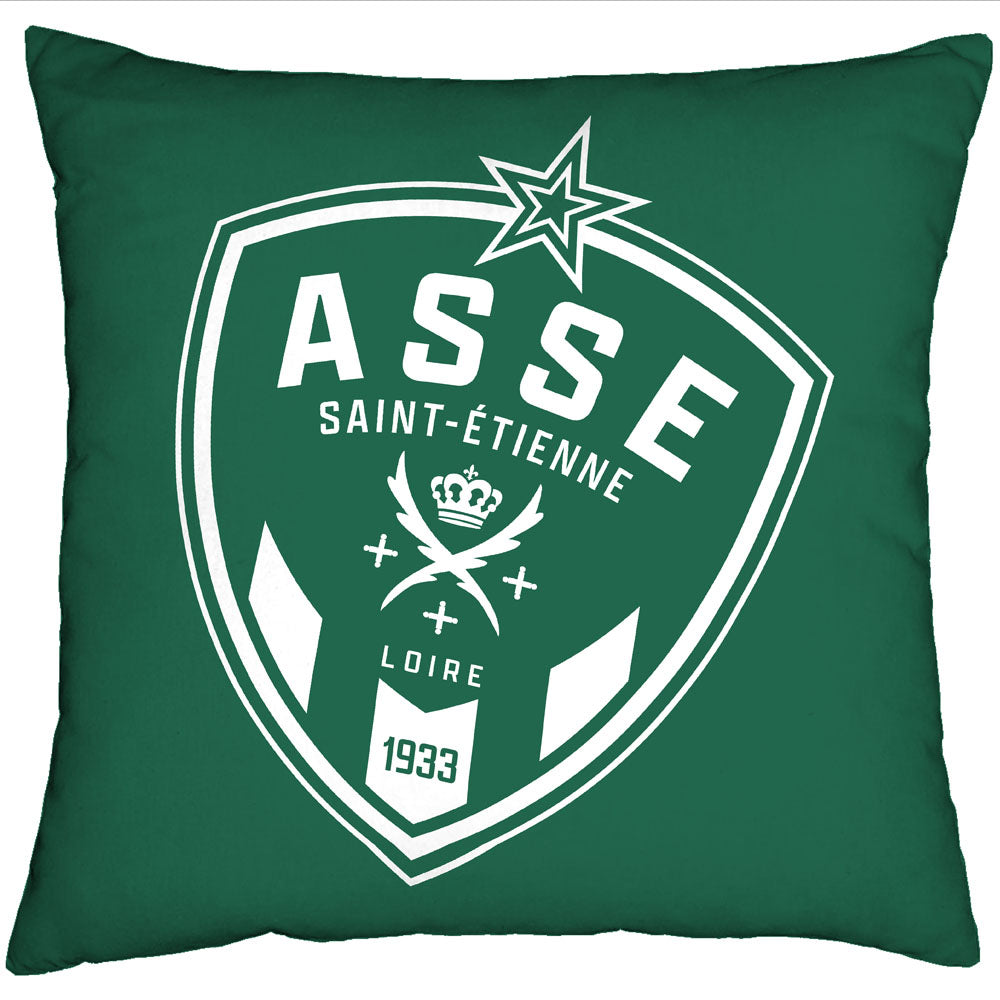 50x50 Green and White Logo Cushion