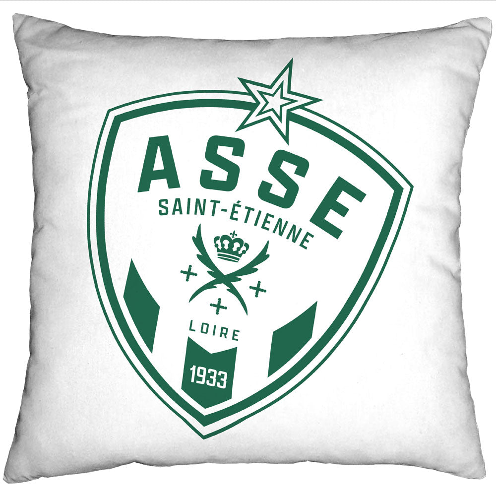 50x50 Green and White Logo Cushion